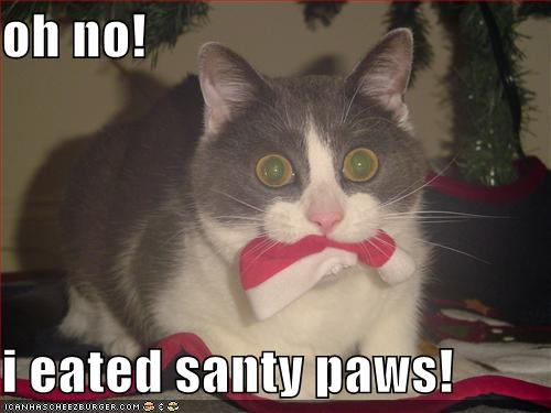santy-paws