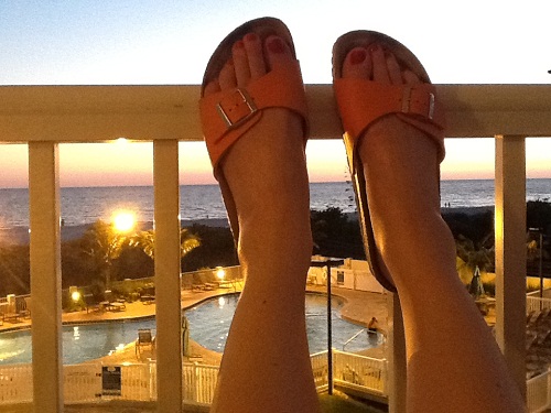 Birkies at sunset, Treasure Island, Florida