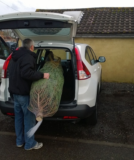 Picking up the Christmas tree