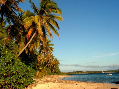 Turtle Island