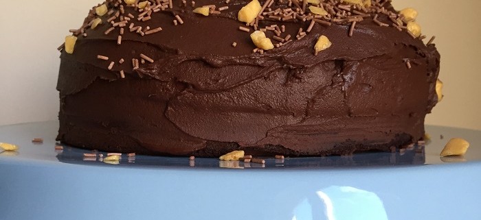 Rich chocolate cake