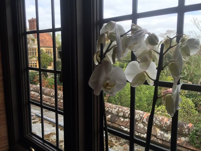 A view of Le Manoir from the window