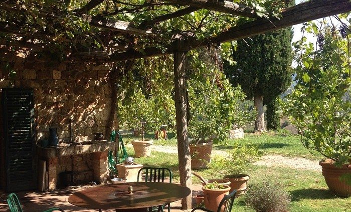Café au lait on a sunny terrace