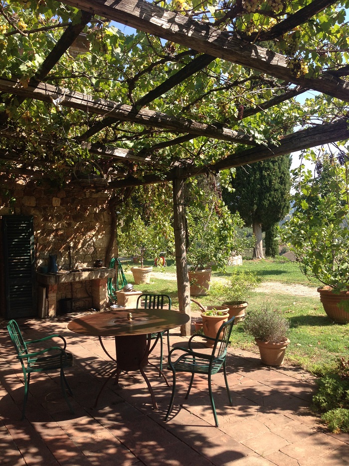 Even more vines cover the outside dining area