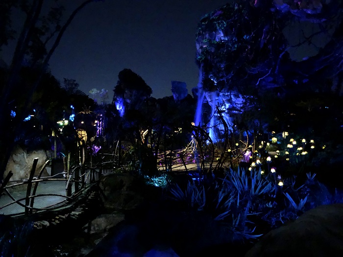 Pandora at night