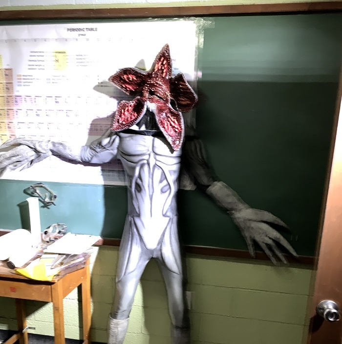 The worst picture ever taken of a Demogorgon