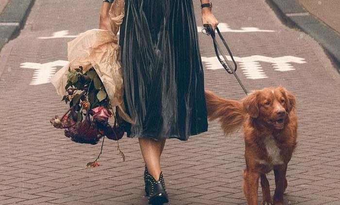 new hush autumn winter 2019