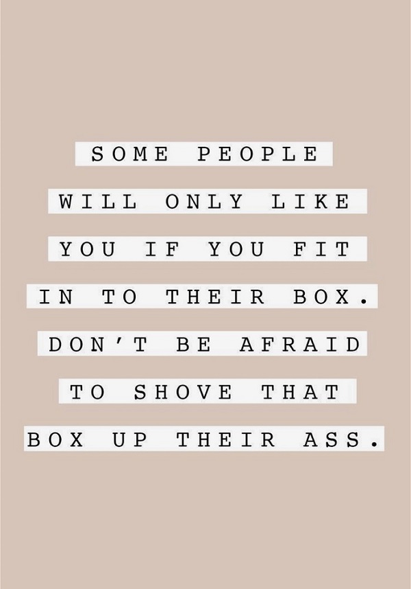 Some people will only like you if you fit in to their box. Don't be afraid to shove that box up their ass.